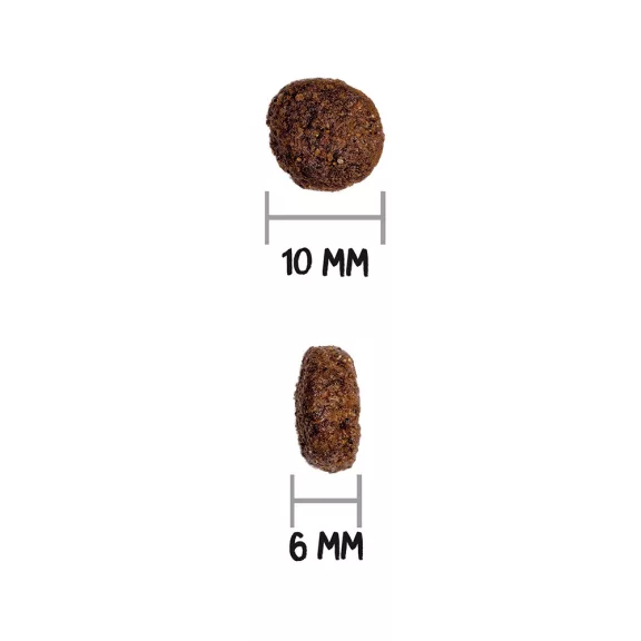 0031429_3.jpg