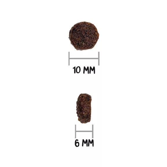 0031434_3.jpg