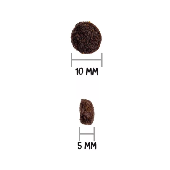 0031438_3.jpg