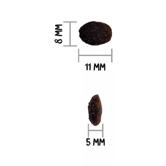 0031461_3.jpg
