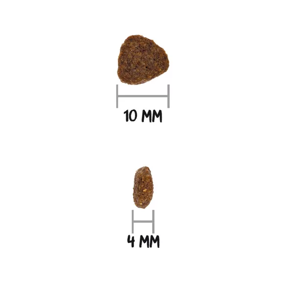 0031463_3.jpg