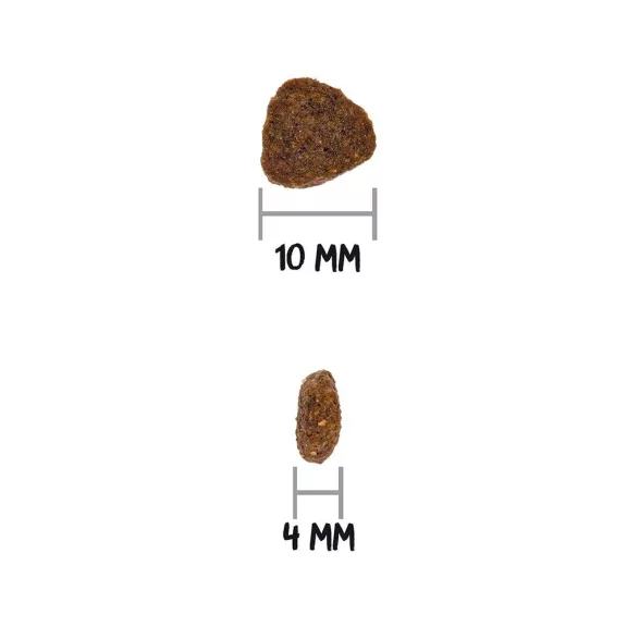 0031464_3.jpg