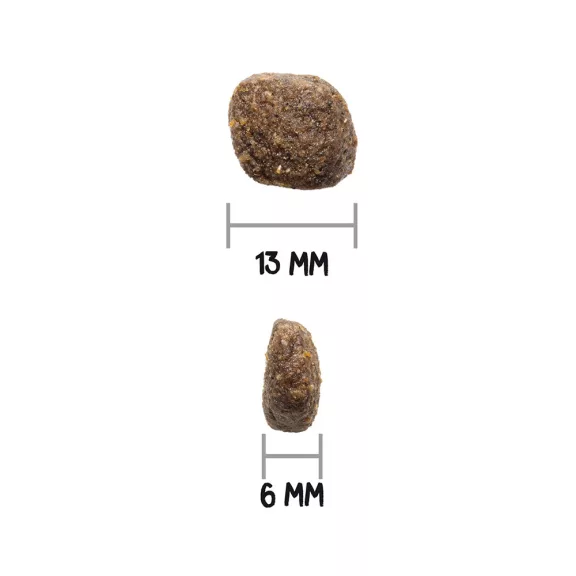 0031568_3.jpg