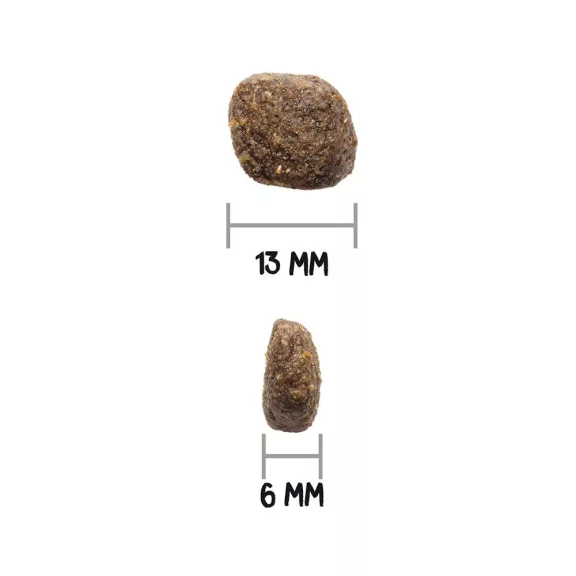 0031569_3.jpg
