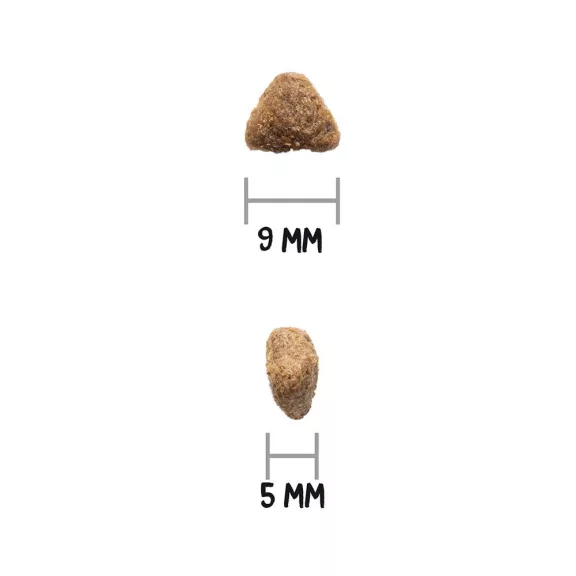 0031573_3.jpg