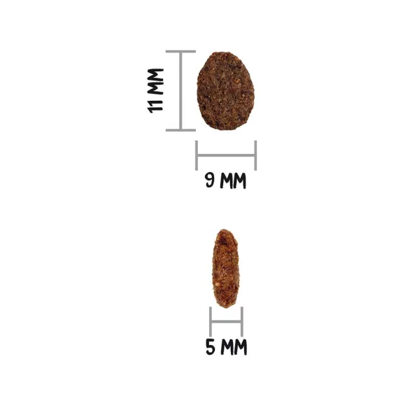 0031576_3.jpg