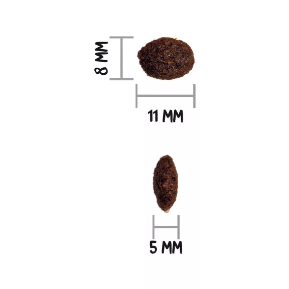 0031587_3.jpg