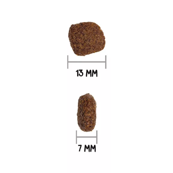 00316002_3.jpg