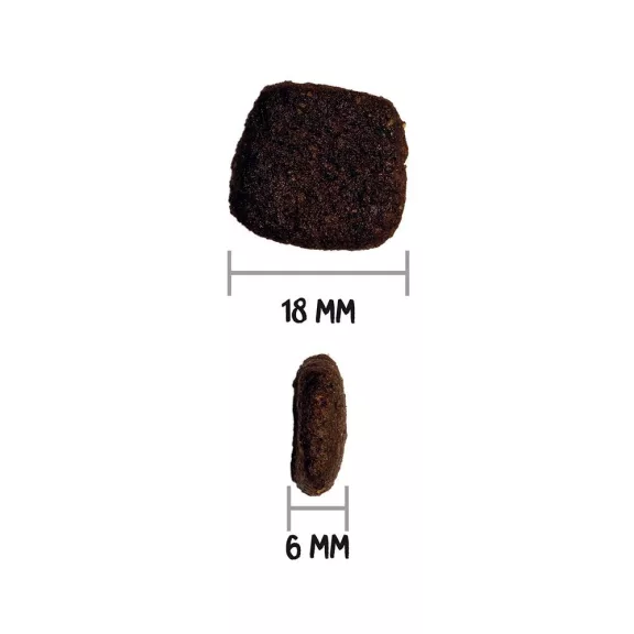 00316005_3.jpg