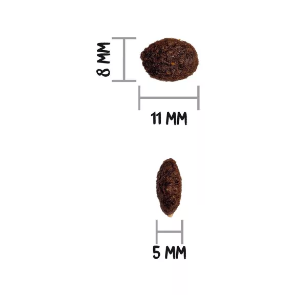 00316007_3.jpg