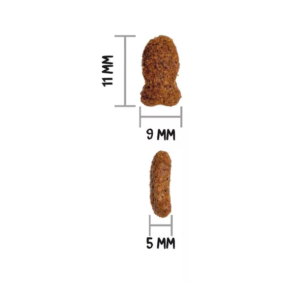 00316008_3.jpg
