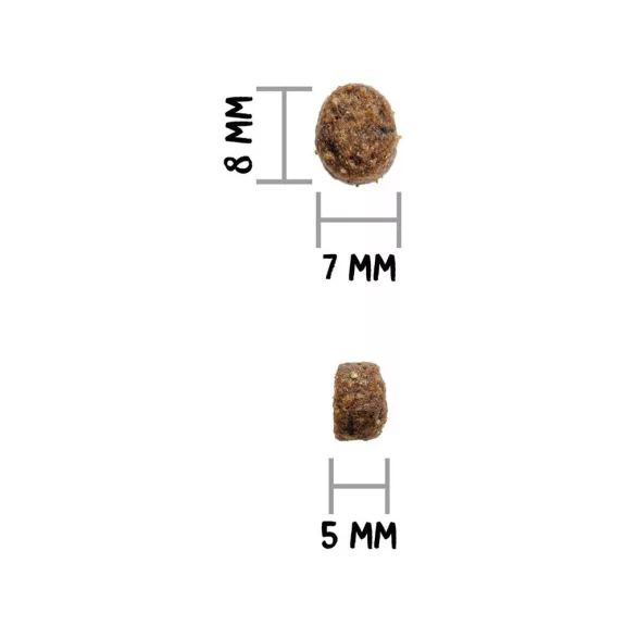 0031617_3.jpg