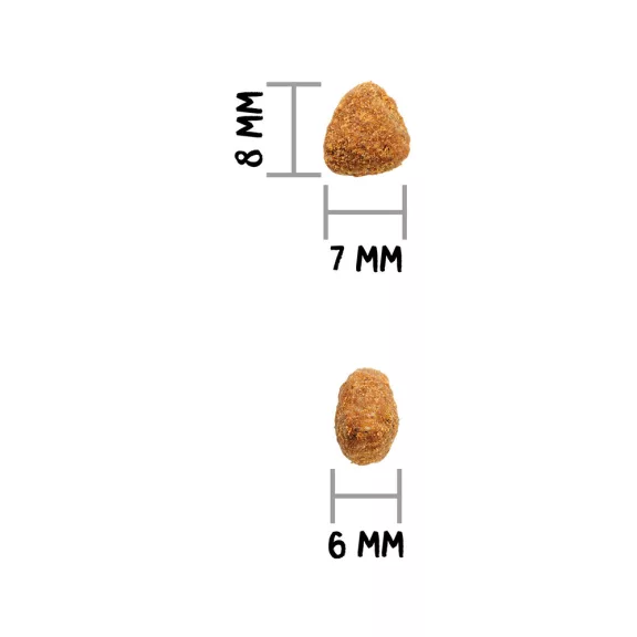 00316400_3.jpg