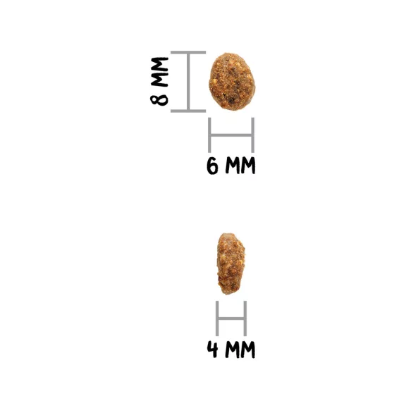 0031643_3.jpg