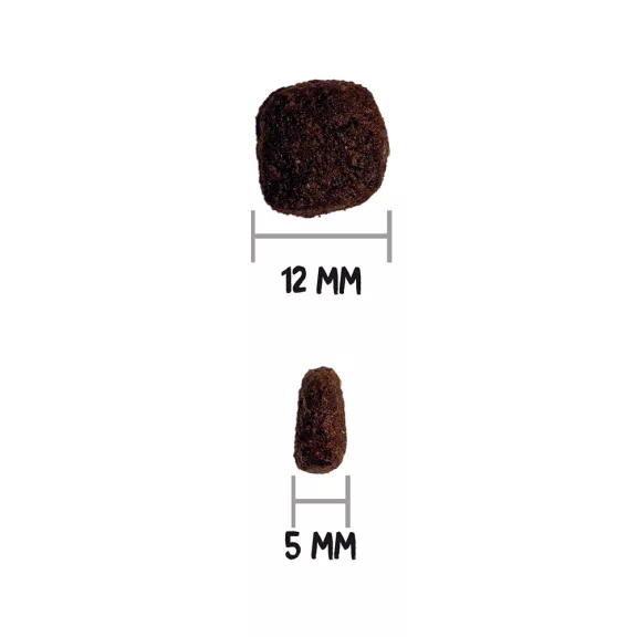 0031677_3.jpg