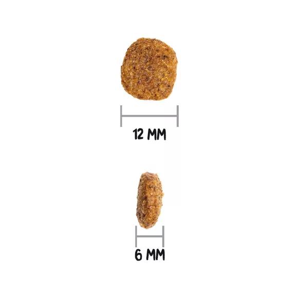 0031678_3.jpg