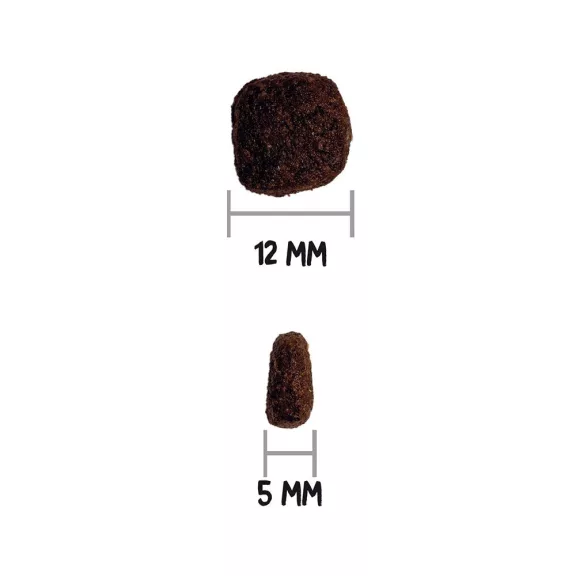 0031686_3.jpg