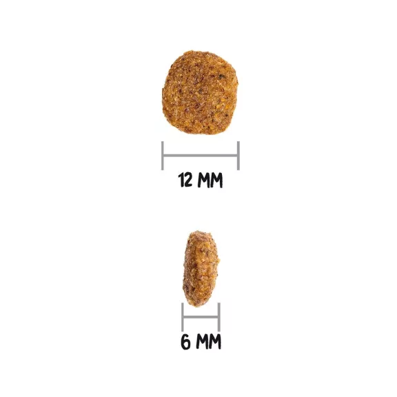 0031687_3.jpg
