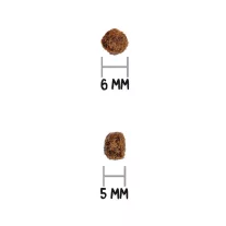0031691.jpg