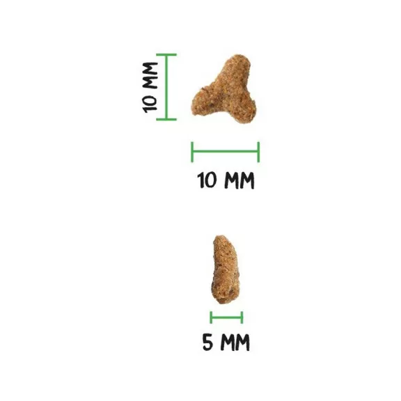 0031697_3.jpg