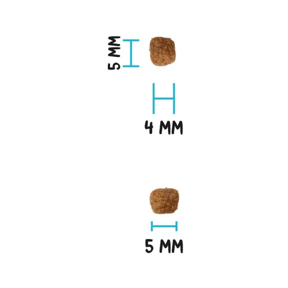 003170000_3.jpg