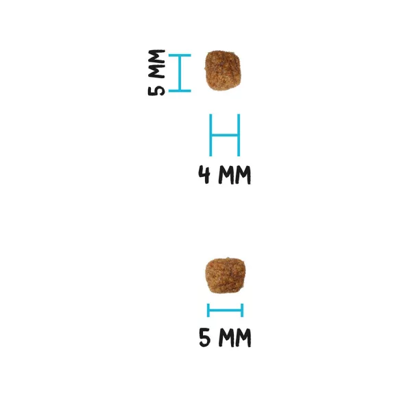 00317001_3.jpg