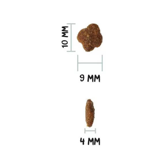00317006_3.jpg