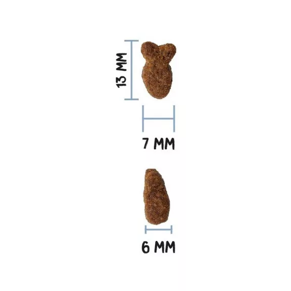 00317100_3.jpg