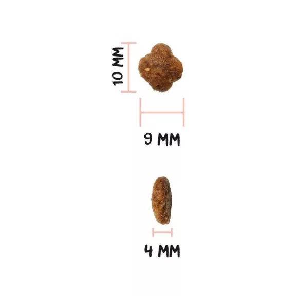 0031719_3.jpg