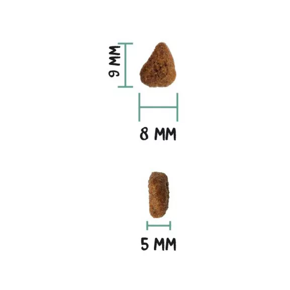 0031727_3.jpg